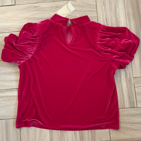 Eesome ladies velveteen blouse , size large - Picture 2 of 6